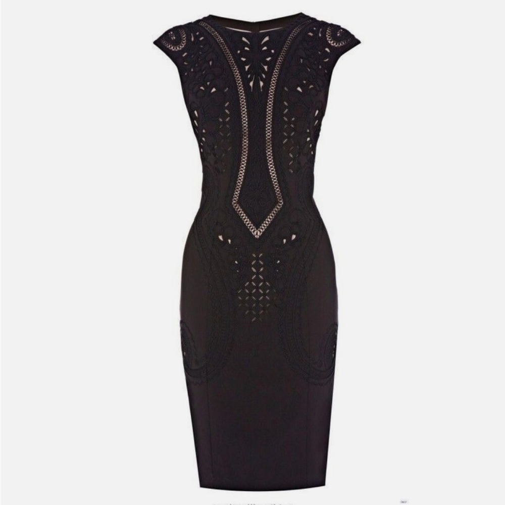 Karen Millen embroidered and cutwork pencil dress with a nude lining